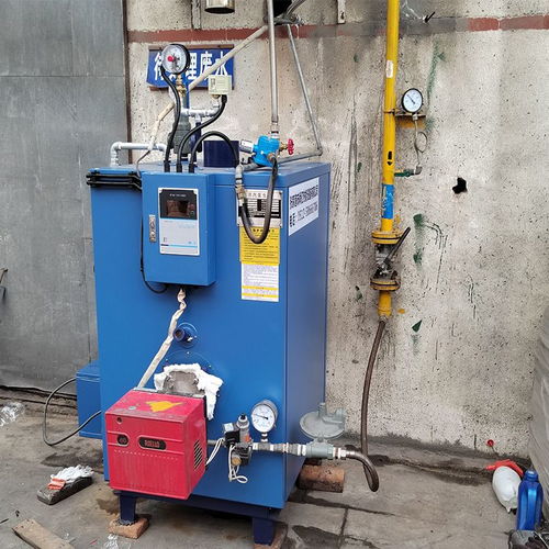 立浦熱能120kg燃?xì)庹羝l(fā)生器 食品加工配套 工業(yè)蒸汽燃?xì)忮仩tlss0.12 0.7 y.q 谷瀑環(huán)保